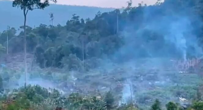 
					KPH Larona Minta PT Vale Segera Koordinasi untuk Tindaki Pelaku Perambahan Hutan di Tanamalia