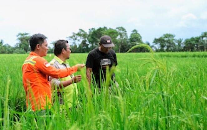 
					Dorong Kemandirian Ekonomi Lokal, PT Vale Hadirkan Livelihood Restoration Program di Pomalaa Membangun Masa Depan Berkelanjutan melalui Peningkatan Taraf Hidup Masyarakat