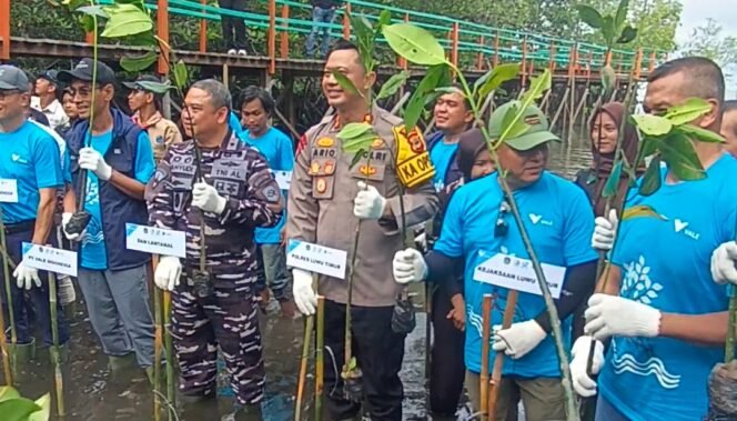 
					PT Vale Merawat Masa Depan Pesisir Luwu Timur Lewat Mangrove dan Transplantasi Terumbu Karang