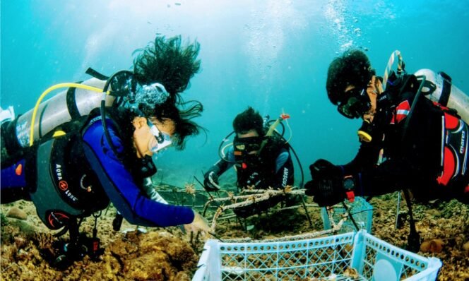 
					Mangrove Dan Terumbu Karang Untuk Generasi Mendatang ,Wujud Nyata Komitmen Lingkungan PT Vale