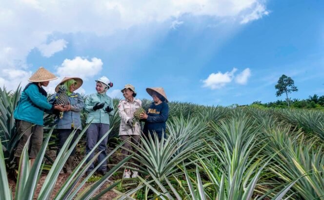 
					Merawat Pertambangan Berkelanjutan PT Vale Menyulap Lahan Kritis Menjadi Sumber Ekonomi Desa Berbasis Hortikultura