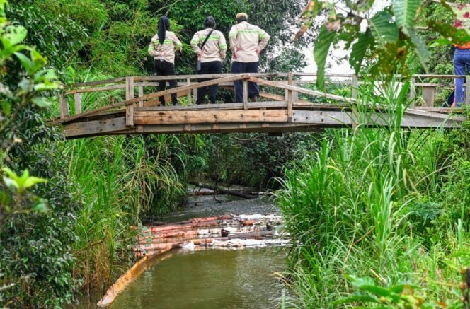 
					Pakar Kebencanaan UI : Penelitian Awal Kondisi Tumpahan Minyak PT Vale Indonesia Tbk