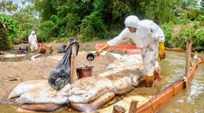 
					Progres Pemulihan PT Vale di Towuti: Dari Respon Darurat Menuju Solusi Terstruktur