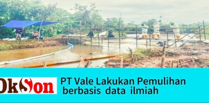 
					Towuti Bergerak Bersama: PT Vale dan Warga Perkuat Pemulihan dengan Data Ilmiah dan Gotong Royong