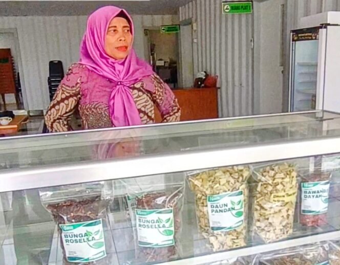 
					Rumah Sehat HIPHO Sorowako, Sentuhan Alami PT Vale Mengembalikan Harmoni Raga