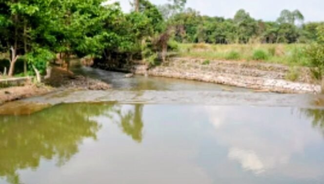 
					Komitmen untuk Lingkungan dan Masyarakat Towuti, PT Vale Tegaskan Kualitas Air Aman dan Pemulihan Berjalan Terukur