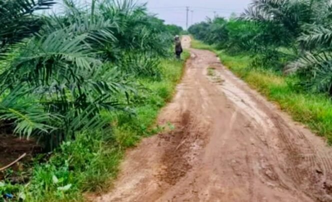 
					Ada Apa Dengan Program Sarpras Di Luwu Timur, Sudah di ACC Pusat, Dibatalkan Daerah, Terindikasi Persoalan Pilkada