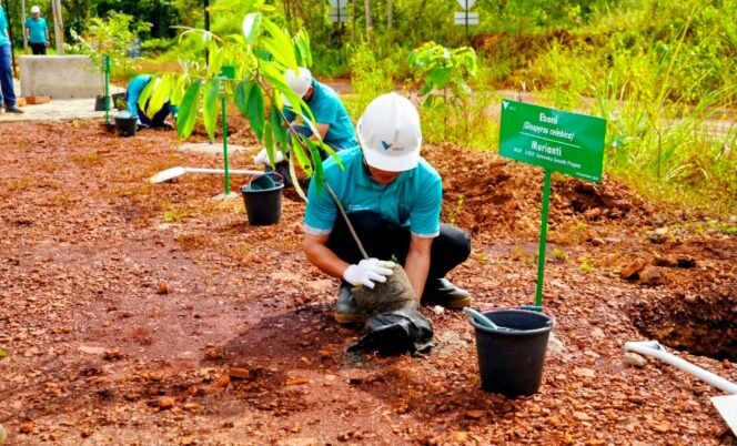 
					Warisan Hijau untuk Dunia: PT Vale Indonesia Lakukan Penanaman Pohon Serentak sebagai Komitmen Global Terhadap Iklim dan Keberlanjutan