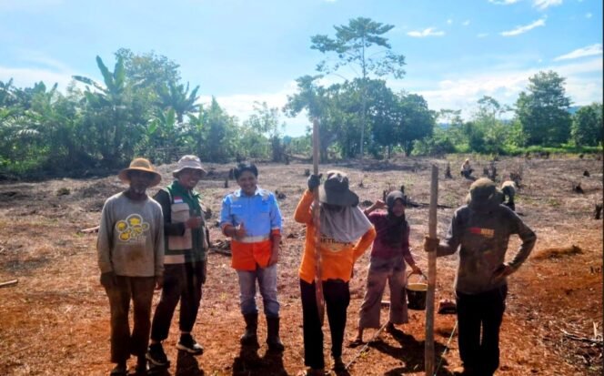 
					Dorong Kemandirian Pangan, PT CLM Bina Petani Lakukan Penanaman Jagung