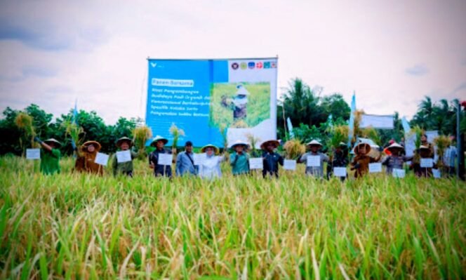 
					Dukung Asta Cita Presiden dan SDGs Ketahanan Pangan, PT Vale Panen Bersama Demplot Padi Berkelanjutan di Kolaka