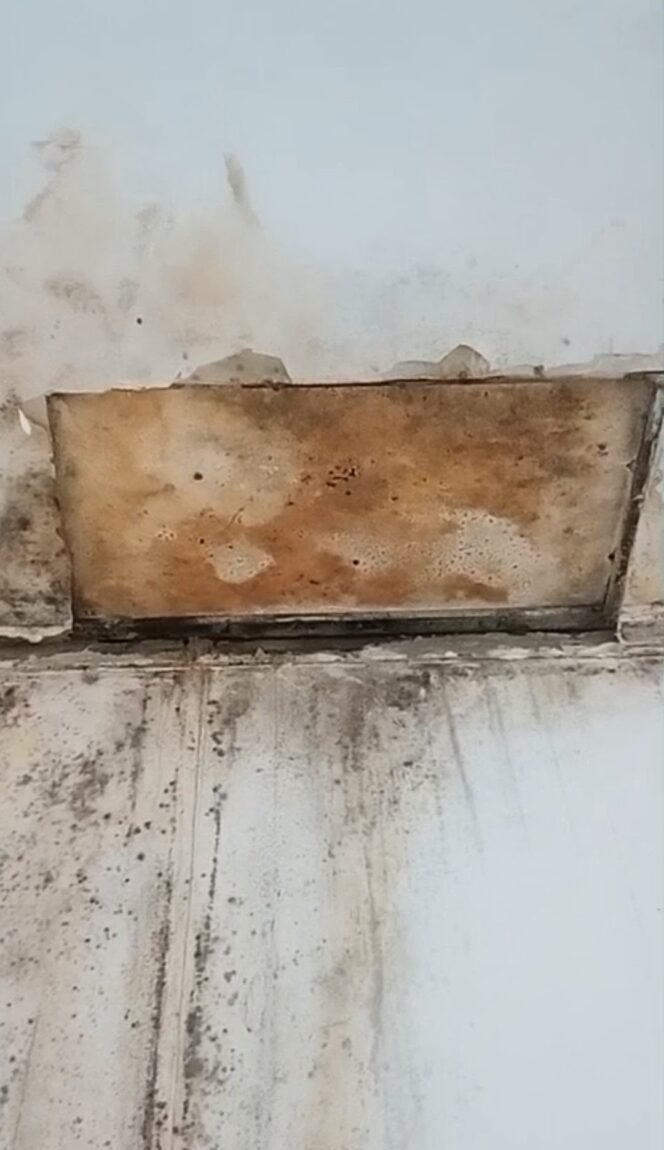 
					Beredar Video Salah Satu Kamar Pasien RSUD Ilagaligo Wotu Kumuh