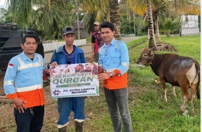 
					Moment Idul Adha, PT CLM Sumbang 7 Ekor Sapi Kurban Di Wilayah Pemberdayaan