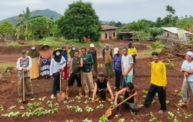 
					Pemkab Lutim Dianggap Melanggar HAM. Komnas HAM Akan Lakukan Penyelidikan di Lahan Kompensasi