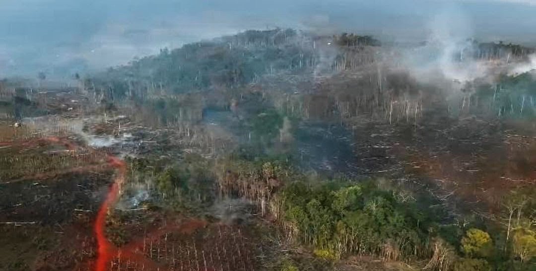 Pasca-Praperadilan Ditolak,Gakum Selidiki Peran Ali Kamri Nawir di Balik Karhutla dan Perambahan Loeha Raya